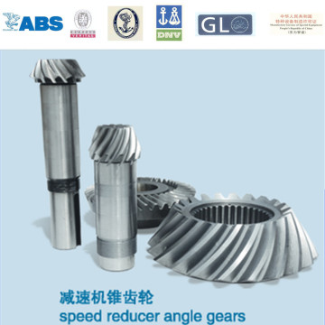 OEM precision steel forged spur gear