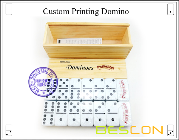 Custom Printing Domino-2 Custom Printing Domino-2