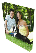 functional fireproof patterned cotton canvas fabric