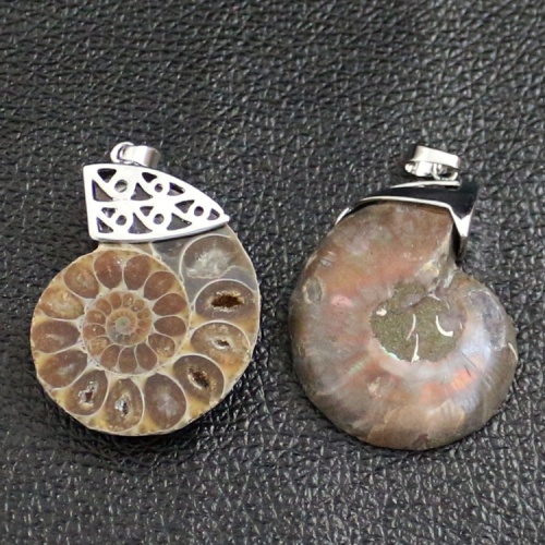 Natural Crystal Fossil Shell Snail Pendant Necklace Energy Stone Healing Divination Necklaces for Home Decoration Gift Collectio