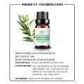 Eucalyptus Essential Oil Grosir Serangga Serangga Pengusiran Nyamuk