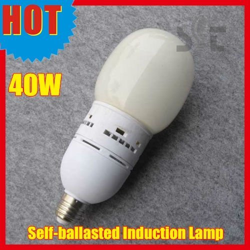 E27 Spherical Compact Self-ballasted Induction Light