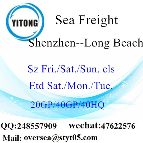 Shenzhen Port Sea Freight Shipping To Long Beach