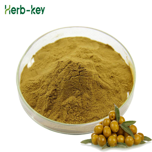 Olive Leaf Plant Extract Olive Leaf Extract Powder