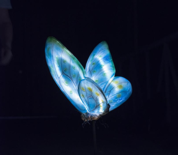 Small Butterfly A Lights