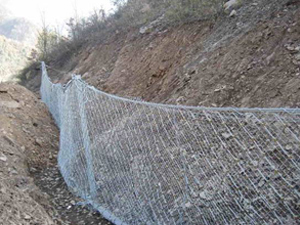 Active Protection System From Dongjian