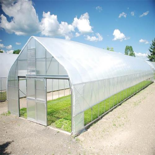 Single Span tunnel greenhouse for plant vegetable