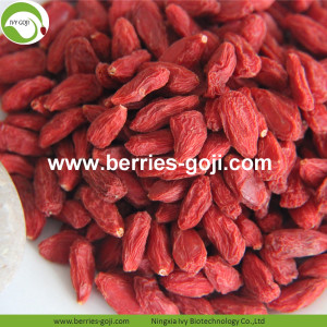 Groothandel Superfood Gedroogde Propiedades Del Goji