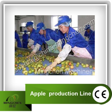 Apple Juice Production Line