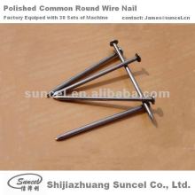 Common Round Nails and Black Nails and Polished Nails