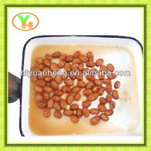 canned broad beans for the whole world,canned white beans in tomato sauce
