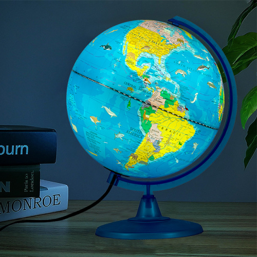 Globo terráqueo interactivo iluminado para niños 25cm