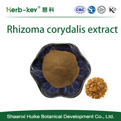 10:1 Rhizoma corydalis extract powder