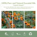 Melhor preço Seaabuckthorn Extrato Óleo Orgânico Seed Buckthorn Oil de semente de óleo