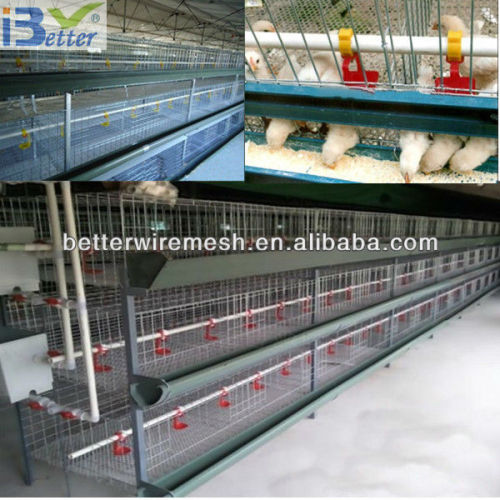 2014 hot-sell H type chicken layer cage