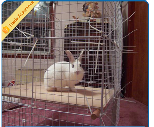 layers rabbit cage for sale