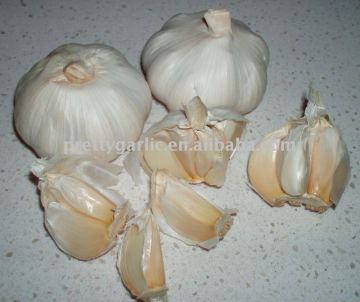 Jinxiang Garlic