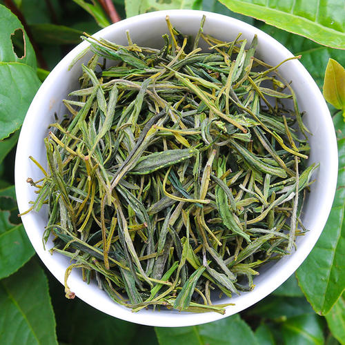 China Well-Known Tea Huangshan Famous Maofeng Green