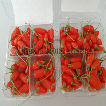 Ningxia Organnic goji berries superfruit wolfberry