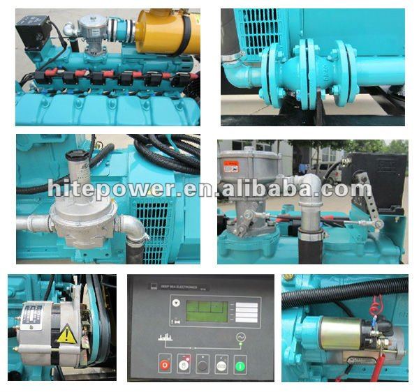 Wholesale generator from China 20kw methane gas engine generator