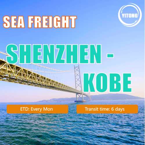 Frete marinho de Shenzhen para Kobe