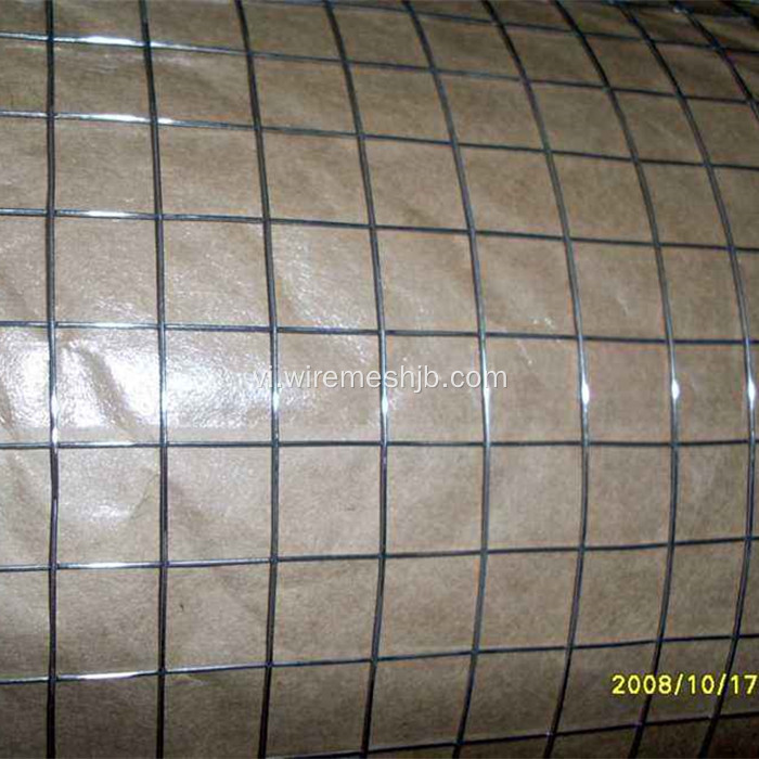 1 &#39;&#39; x 1&#39;&#39;Galvanized hàn dây lưới cuộn