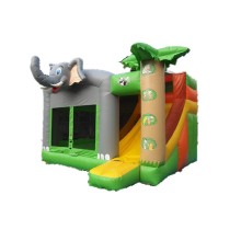 Factory Price Inflatable Castle Jumps with Bouncer Slide