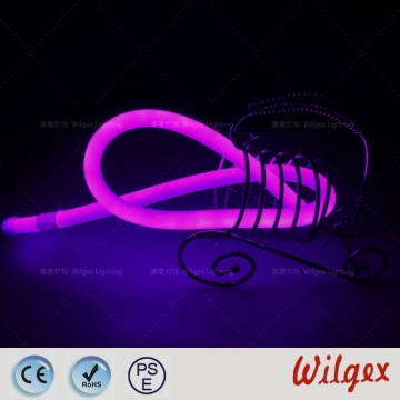 Round Neon flex light