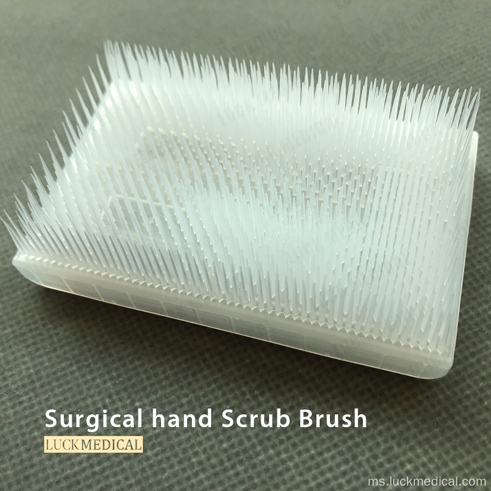 Berus/span scrub pembedahan dengan pembersih kuku