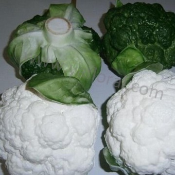 Yafloarl artificial broccoli fake cauliflower export fruits and vegetables