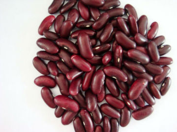 Dark red beans 2013crops