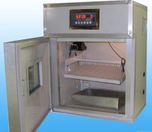 incubator for hatching