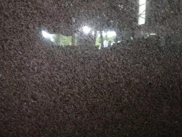 Classical Cafe Imperial Granite for Decoration