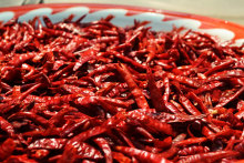 Dried hot chilli without stem export red chilli