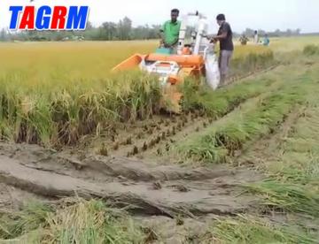 Small rice combine harvester in west bengal
