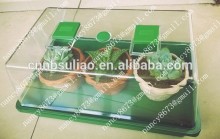 mini green house,green house for sale