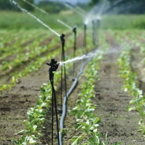 Sistema de irrigação por aspersão com efeito de estufa para rega