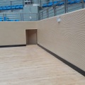 Echo Reduction Wooden Acoustic Panels For Walls