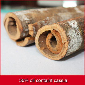 50% oil containt cassia