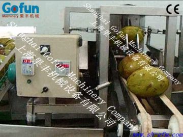 Coconut Milk Extracting Machine