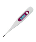 RYCOM pocket rigid digital thermometer (DT-011)
