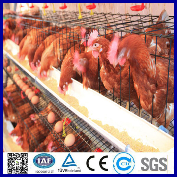 High quality chicken cage