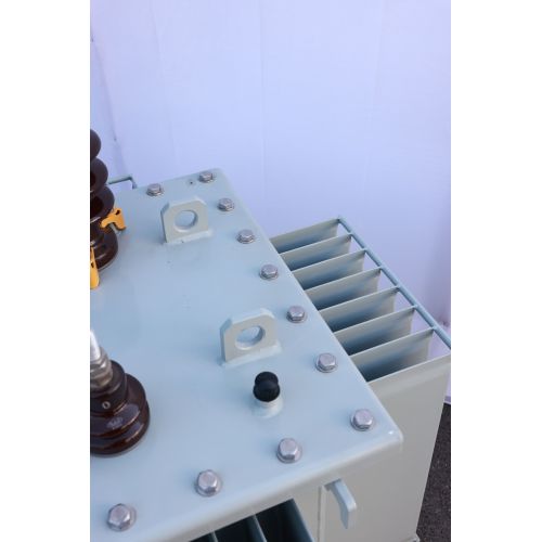 S13 Electric distribution transformer