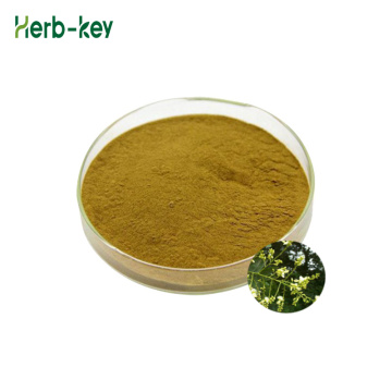 Natural Genista Tinctoria Extract Powder Genistein Powder