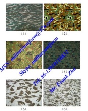 Military Fabric rib-stop twill plain fabric