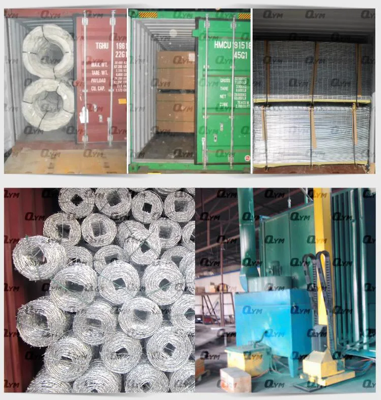 Hot dipped Galvanized barbed wire series in low price