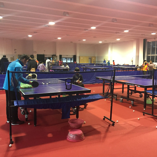 Piso de la pista de tenis de mesa de la ITTF