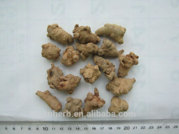 Dried Notoginseng root,Panax notoginseng,Panax pseudoginseng,Anthriscus sylvestris,Radix notoginseng,San qi,Sanqi,Saponin