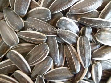 Sunflower Seeds 5009/ Sunflower Inshells 5009