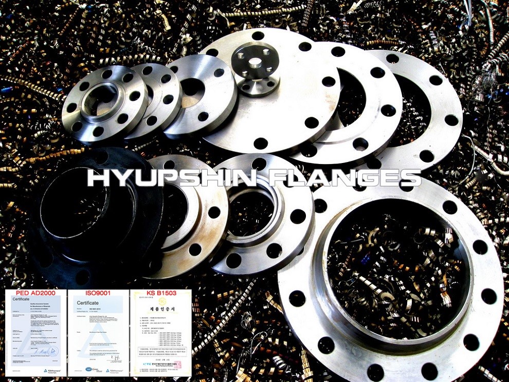 Hyupshin Flanges